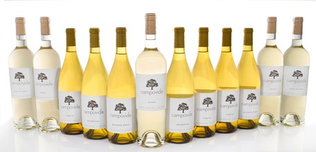 12-Bottle White Wine Club